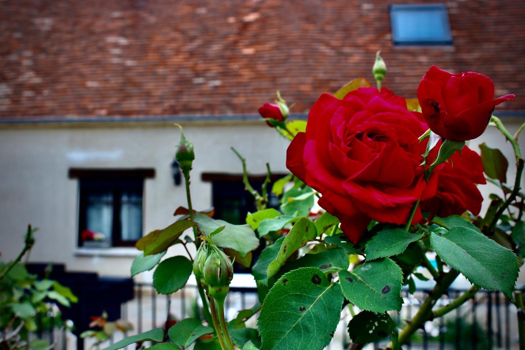 Les Gites D'Halatte Fleurines Экстерьер фото